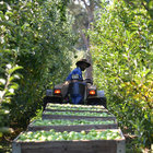 Meet the Locals Meet the Locals